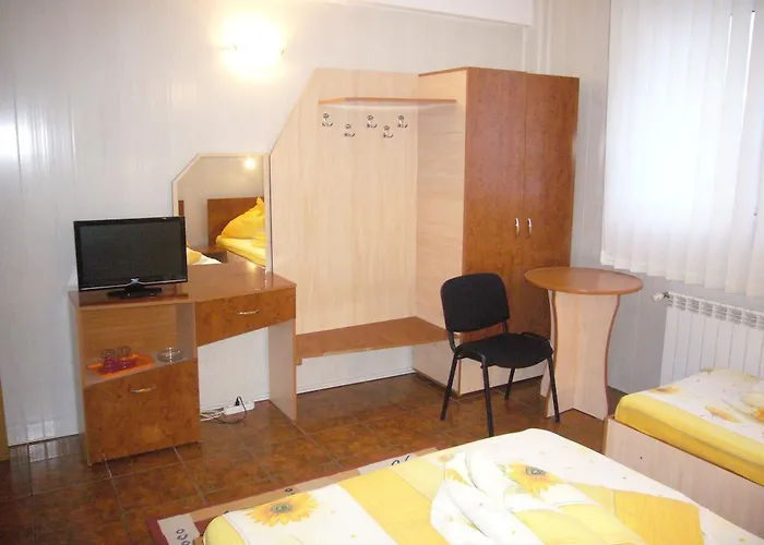 Pensionat Casa Nanu 3*